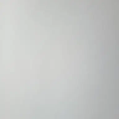 Profile image of 꽥꽥 학교 여우