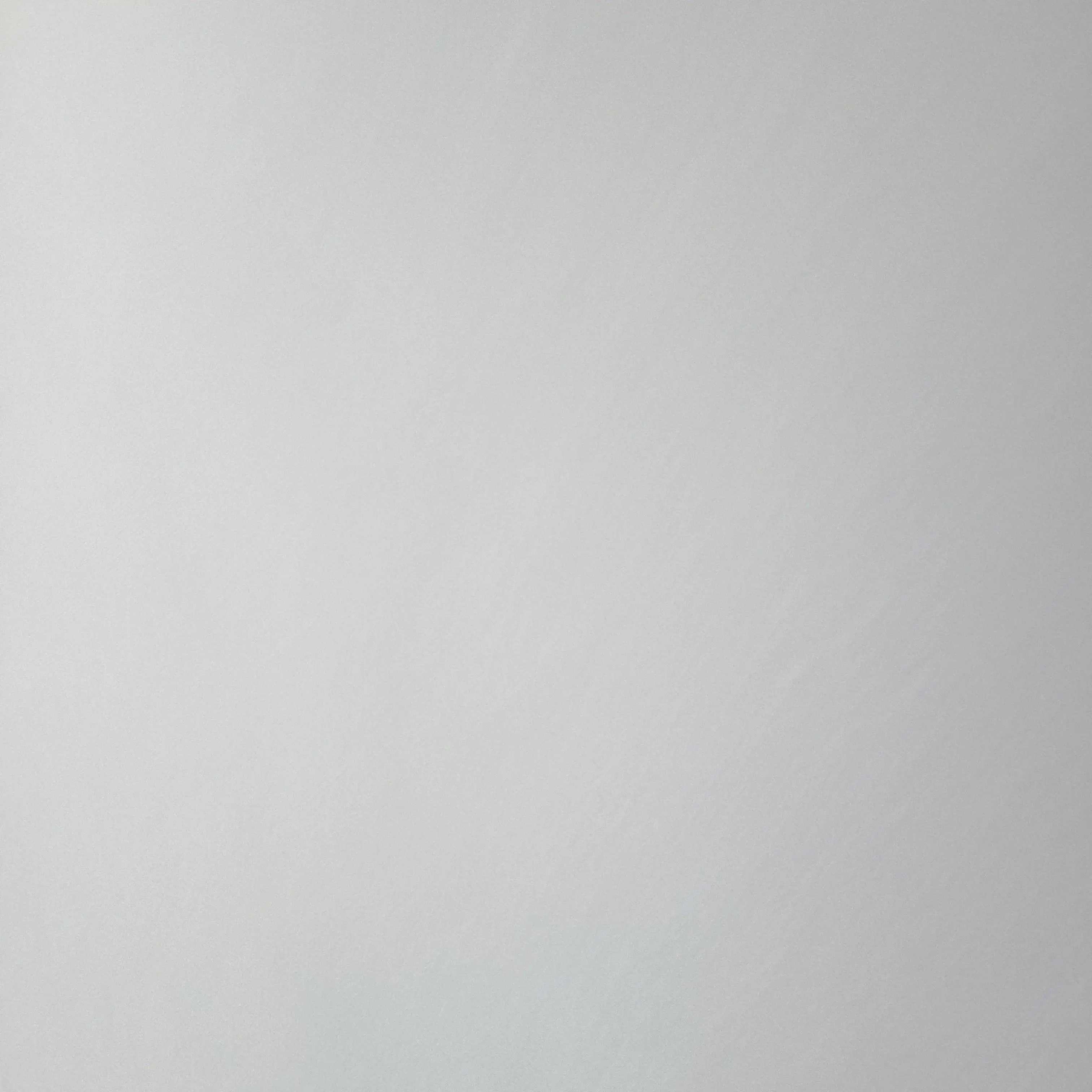 SureSheep7679의 꽥꽥 학교,여우.