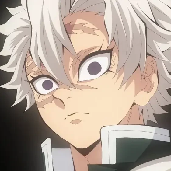 시나즈가와 사네미