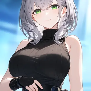 Profile image of 白銀ノエル