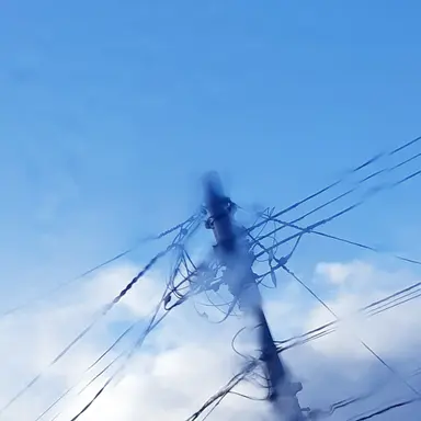 Profile image of 蒼