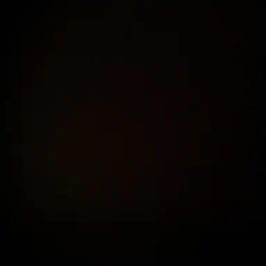 Profile image of 문동주