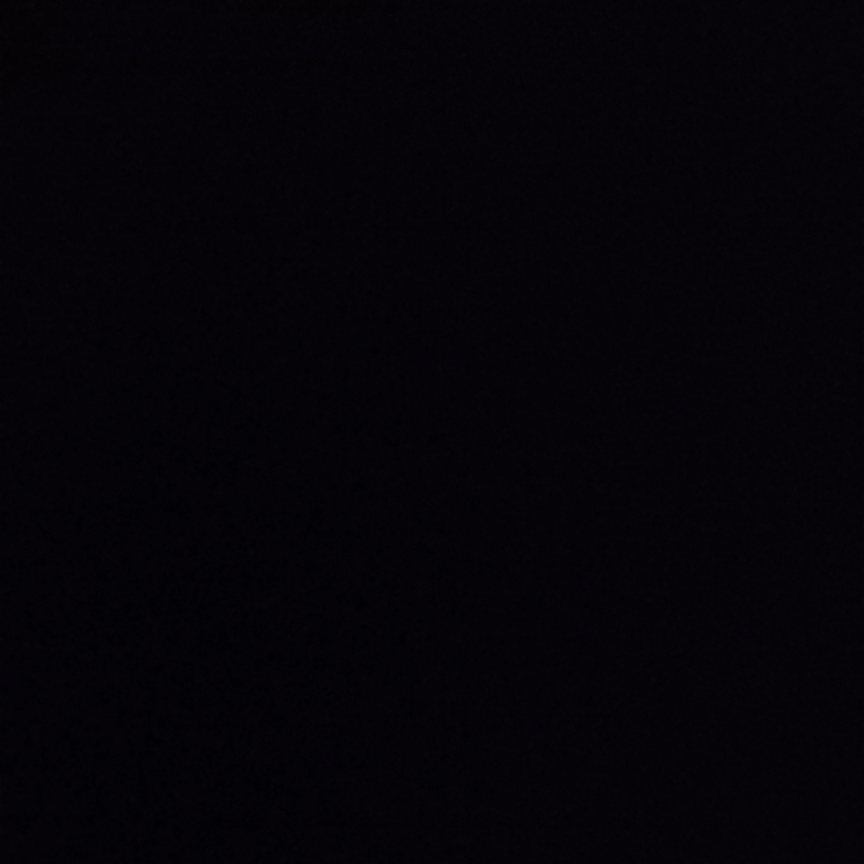 핀란드
