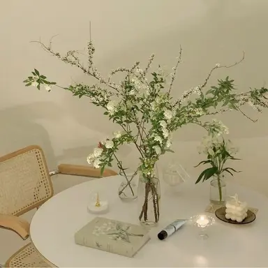 Profile image of 강대성