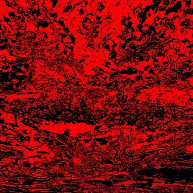 Profile image of 스펙터