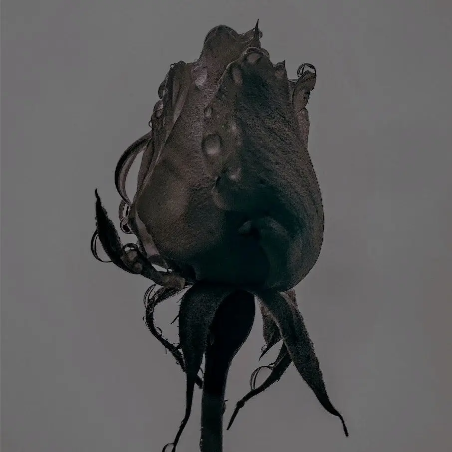 Frozen_duck의 From. 사랑하는 당신에게