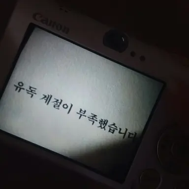 Profile image of 배진솔