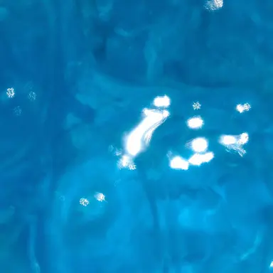 Profile image of 꼰대희