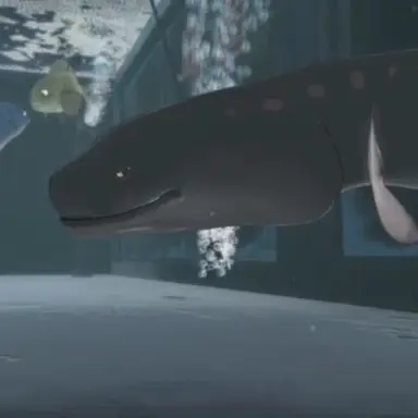 Profile image of 아나고