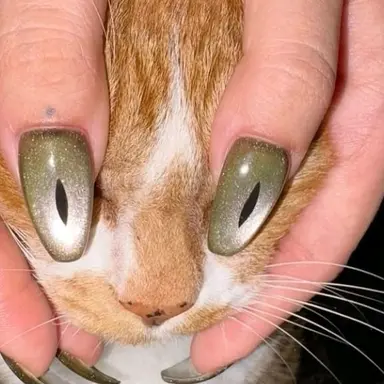 Profile image of 여우