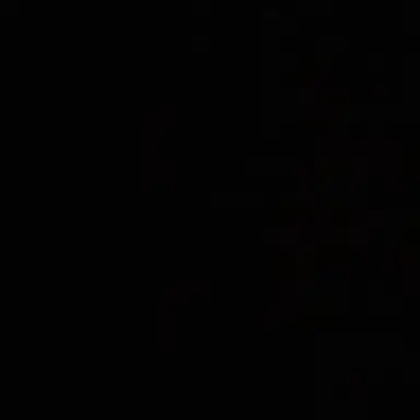 Profile image of 필릭스