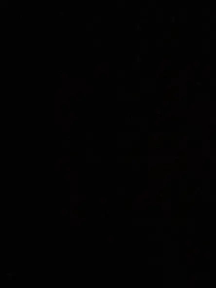 PoPo_Op의 조직보스