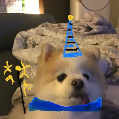 Profile image of 오즈