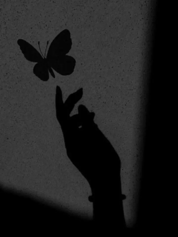 honey.com의 0107