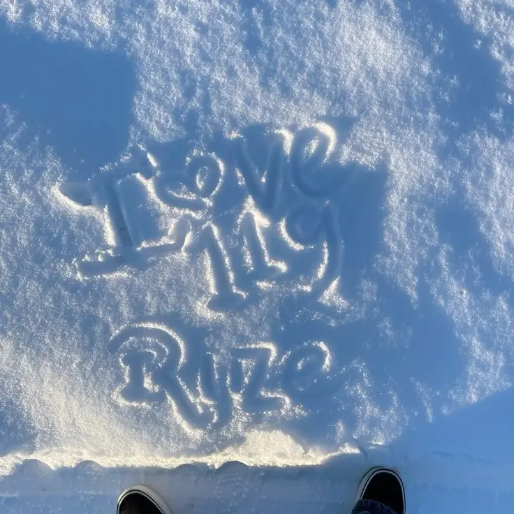 NastyArmor2410의 슬기로운 매니저생활