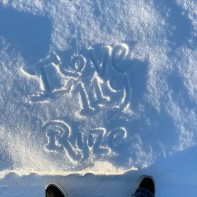 Profile image of 타로