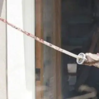 Profile image of ミショーン