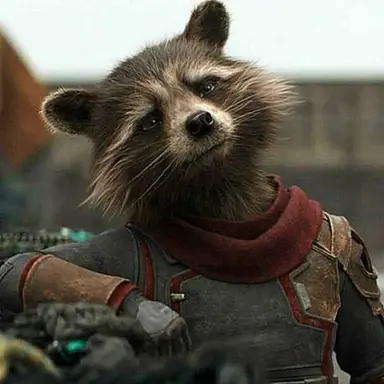 Profile image of Rocket
