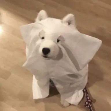 Profile image of 박 범환