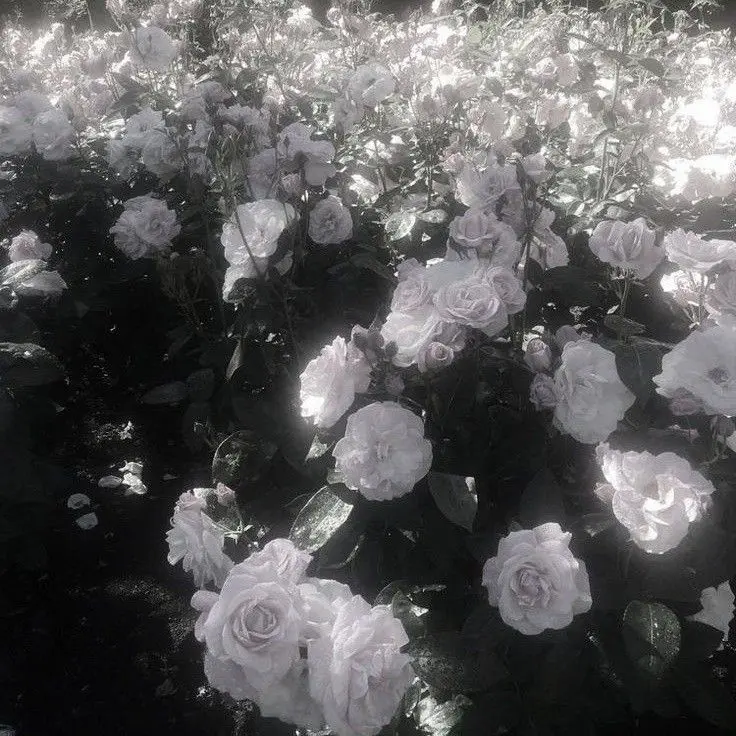 saotome.__.519의 💛🎹