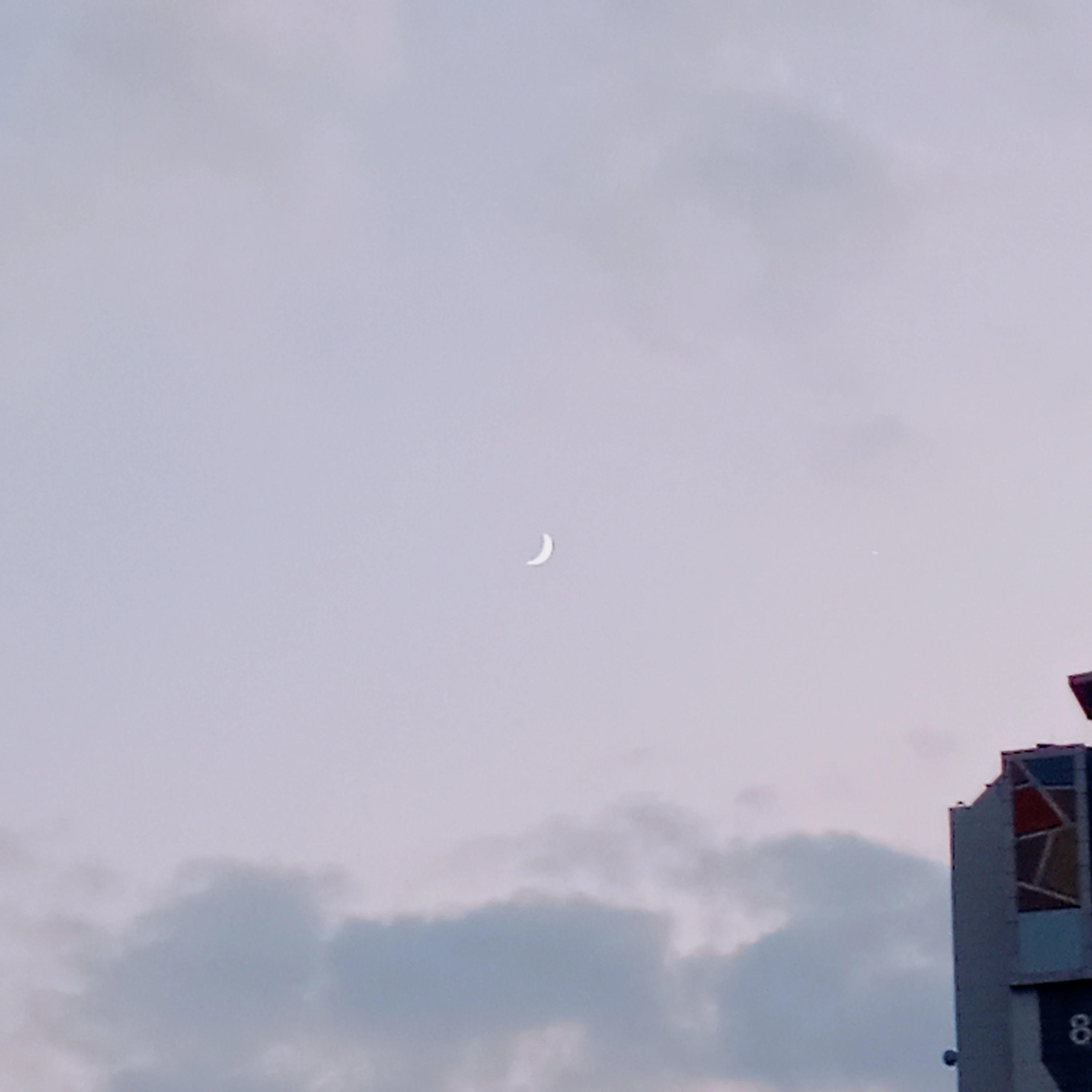 남사친친들