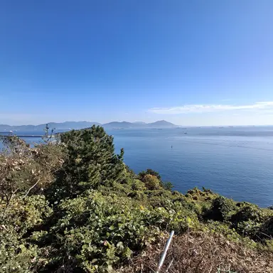 Profile image of 여우