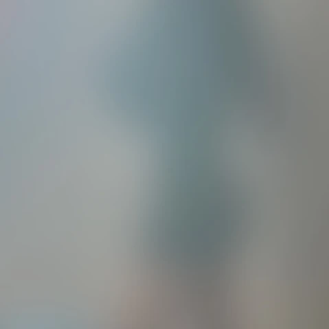 김애리