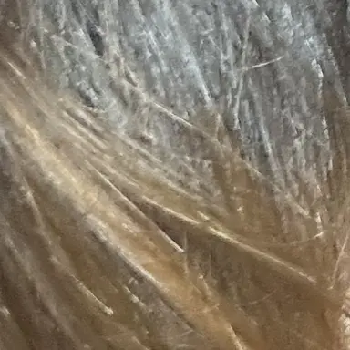 Profile image of 篠塚大輝