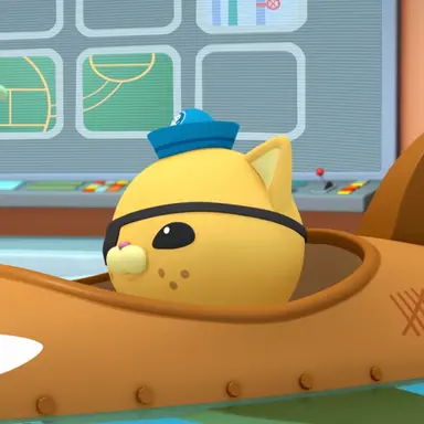 Profile image of 콰지