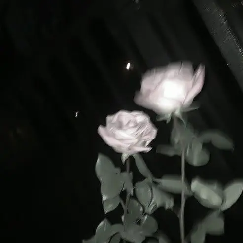 Lowon_skrr의 우융 x 플래그