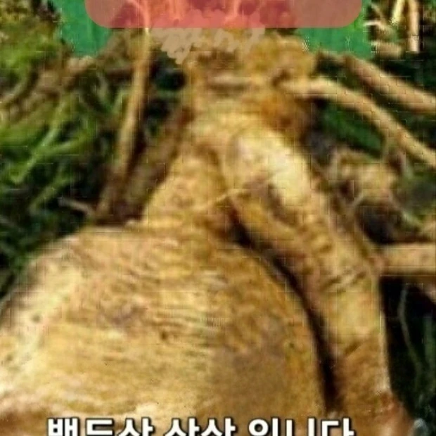 그냥