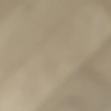 Profile image of 구도원