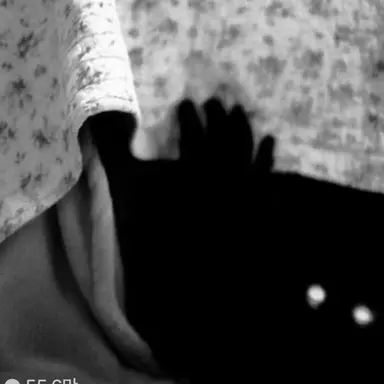 Profile image of 침대 괴물