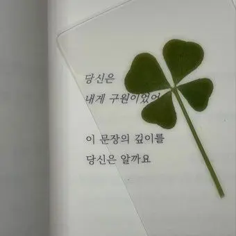 Profile image of 여운