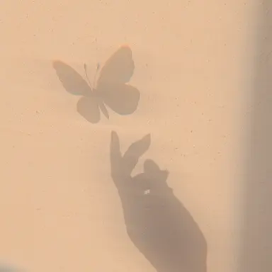 Profile image of ハヤト