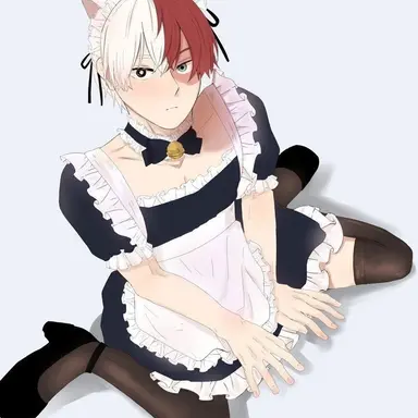 Profile image of Shoto todoroki