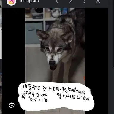Profile image of 대능