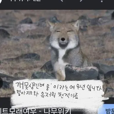 Profile image of 여웅
