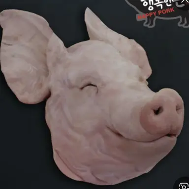 Profile image of Yeou