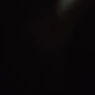 Profile image of 스프런키