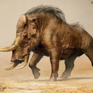 Profile image of War Boar
