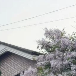 명재현
