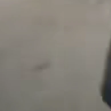 翔