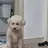 똥꼬