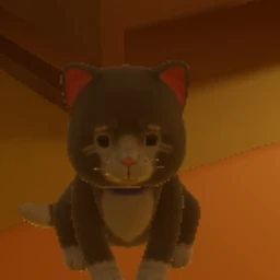 검은 고양이