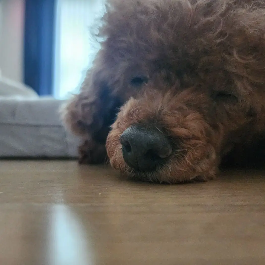 MildHose6464의 트롤들