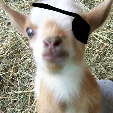 Profile image of 백사헌