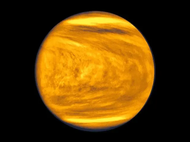 Profile image of Venus