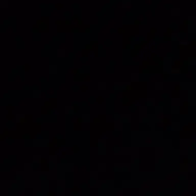 Profile image of Random