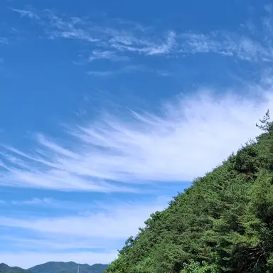 Profile image of 권율